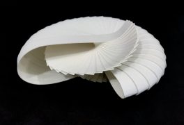 Soundling - Martin Heron